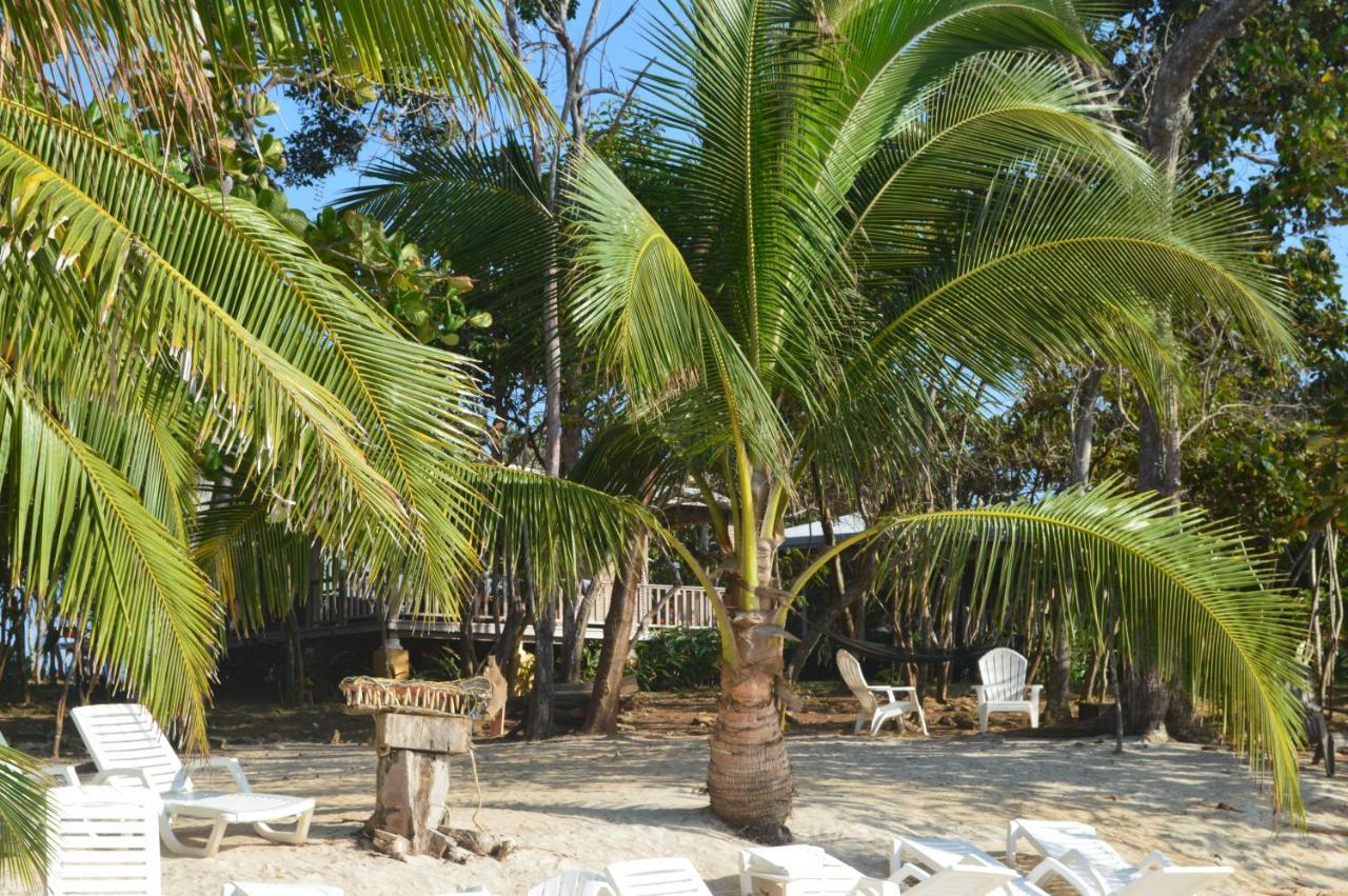 Punta Bajo Rico Sonny Island Resort Cabanas Frente Al Mar מראה חיצוני תמונה